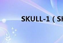 SKULL-1（SKULL总量是多少）