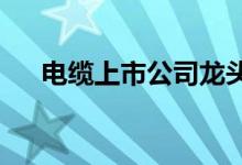 电缆上市公司龙头电缆上市公司有哪些