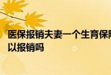 医保报销夫妻一个生育保险可以报吗 生育保险夫妻双方都可以报销吗 