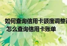 如何查询信用卡额度调整记录 信用卡账单可以查询哪些信息 怎么查询信用卡账单