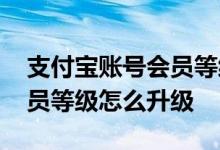 支付宝账号会员等级怎么升级 支付宝蚂蚁会员等级怎么升级