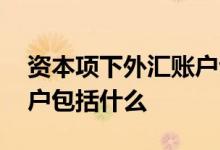 资本项下外汇账户包括 境内资本项目外汇账户包括什么