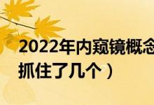 2022年内窥镜概念相关上市公司有哪些（你抓住了几个）