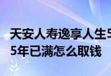 天安人寿逸享人生5年后能取钱吗 天安人寿交5年已满怎么取钱