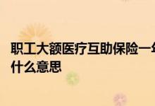 职工大额医疗互助保险一年交几次 职工大额医疗互助保险是什么意思