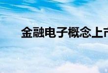 金融电子概念上市公司股票有哪些（）
