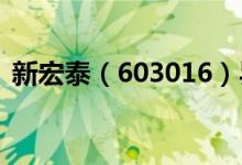 新宏泰（603016）异动下跌跌幅为4.167%