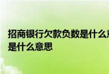 招商银行欠款负数是什么意思 招商银行信用卡账单欠款负数是什么意思