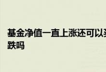 基金净值一直上涨还可以买入吗 基金大量申购会导致净值下跌吗