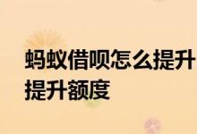蚂蚁借呗怎么提升自己的额度 蚂蚁借呗如何提升额度