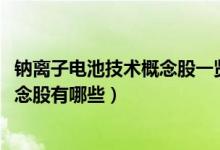 钠离子电池技术概念股一览（2022年钠离子电池技术龙头概念股有哪些）