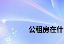 
公租房在什么情况下会退役？ 