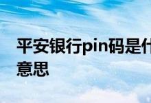 平安银行pin码是什么 平安银行pin码是什么意思