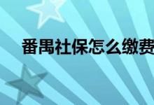 番禺社保怎么缴费（番禺社保怎么办理）