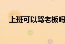 上班可以骂老板吗（上班可以骂领导吗）