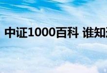 中证1000百科 谁知道中证1000有哪些股票 