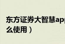 东方证券大智慧app下载（东北证券大智慧怎么使用）