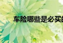 车险哪些是必买的 车险什么是必买的