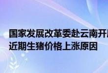 国家发展改革委赴云南开展生猪市场保供稳价调研共同分析近期生猪价格上涨原因