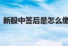 新股中签后是怎么缴款 新股中签了怎么缴款