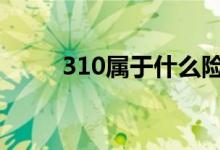310属于什么险种 310险种是什么