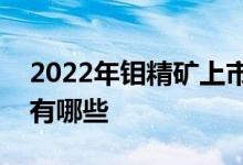 2022年钼精矿上市公司龙头钼精矿上市公司有哪些