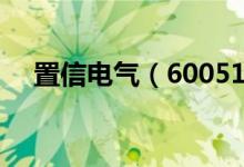 置信电气（600517）募集资金来源情况