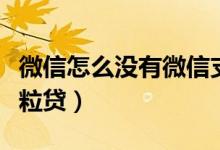 微信怎么没有微信支付页面（微信怎么没有微粒贷）
