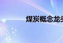 煤炭概念龙头股票有哪些（）