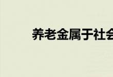 养老金属于社会保险还是社会福利