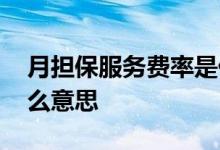 月担保服务费率是什么意思 月担保费率是什么意思