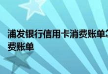 浦发银行信用卡消费账单怎么查 如何查询浦发银行信用卡消费账单