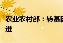 农业农村部：转基因产业化应用试点在有序推进