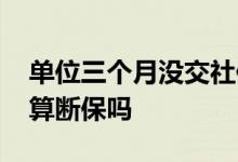 单位三个月没交社保算断保吗 单位没交社保算断保吗