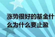 涨势很好的基金什么时候要止盈 基金一直涨么为什么要止盈