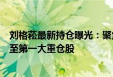 刘格菘最新持仓曝光：聚焦全球比较优势制造业小康股份跃至第一大重仓股