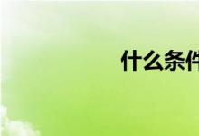 什么条件可申购新股
