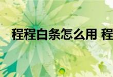 程程白条怎么用 程程白条有额度不能买票