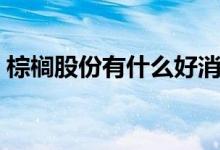 棕榈股份有什么好消息 棕榈股份为什么不涨 