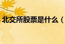 北交所股票是什么（北交所相关龙头股一览）
