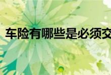 车险有哪些是必须交的 车险一般什么必须交