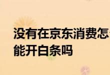 没有在京东消费怎么开白条 没在京东消费过能开白条吗