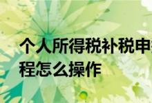 个人所得税补税申报流程 个人所得税补税流程怎么操作