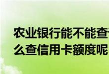 农业银行能不能查询信用卡额度 农业银行怎么查信用卡额度呢