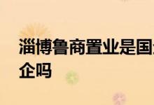 淄博鲁商置业是国企还是私企 鲁商置业是国企吗