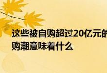 这些被自购超过20亿元的基金有一个共同特征 基金掀起自购潮意味着什么