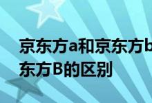 京东方a和京东方b有什么不同 京东方A和京东方B的区别