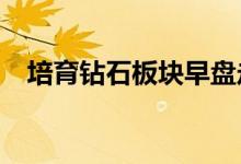 培育钻石板块早盘走高惠丰钻石涨超15%