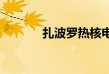 扎波罗热核电站遭无人机袭击