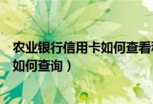 农业银行信用卡如何查看积分明细（农业银行信用卡的积分如何查询）